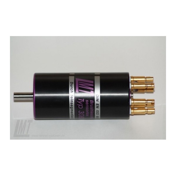 Fichier:Moteur LMT Lehner 3060.jpg